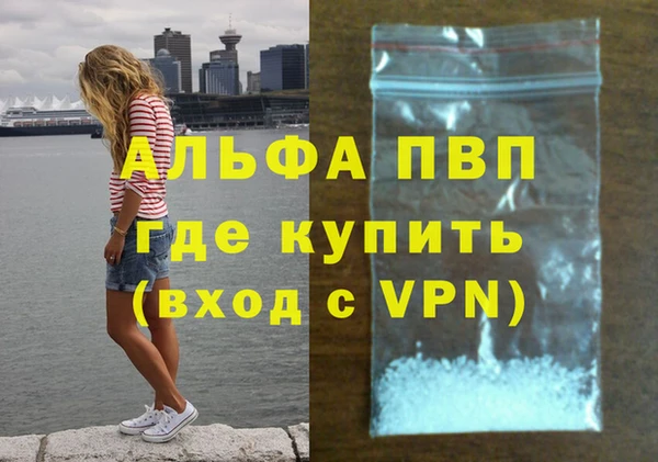 гашик Нефтекумск