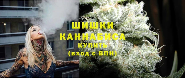 тгк Нея