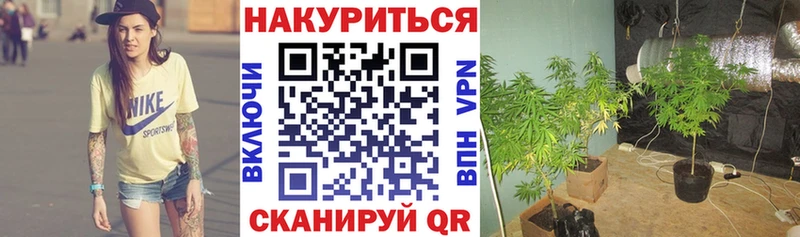 mega ссылка  Островной  Бошки марихуана ГИДРОПОН  как найти  